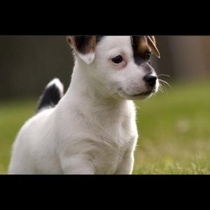 Meet your Posher, Chloe